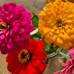 Meet your Posher, Alison